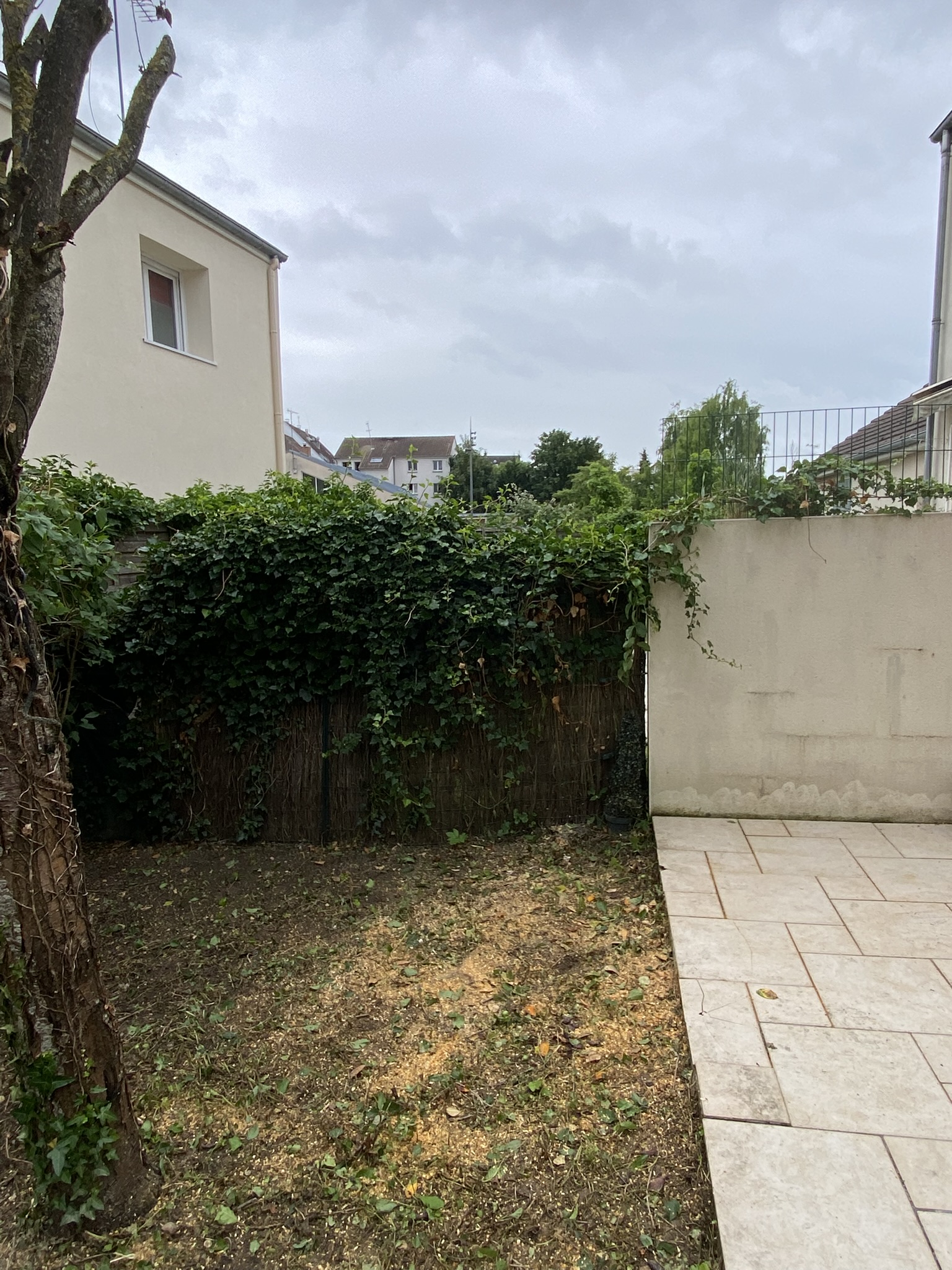 Terrain après abattage d'arbre à Troyes
