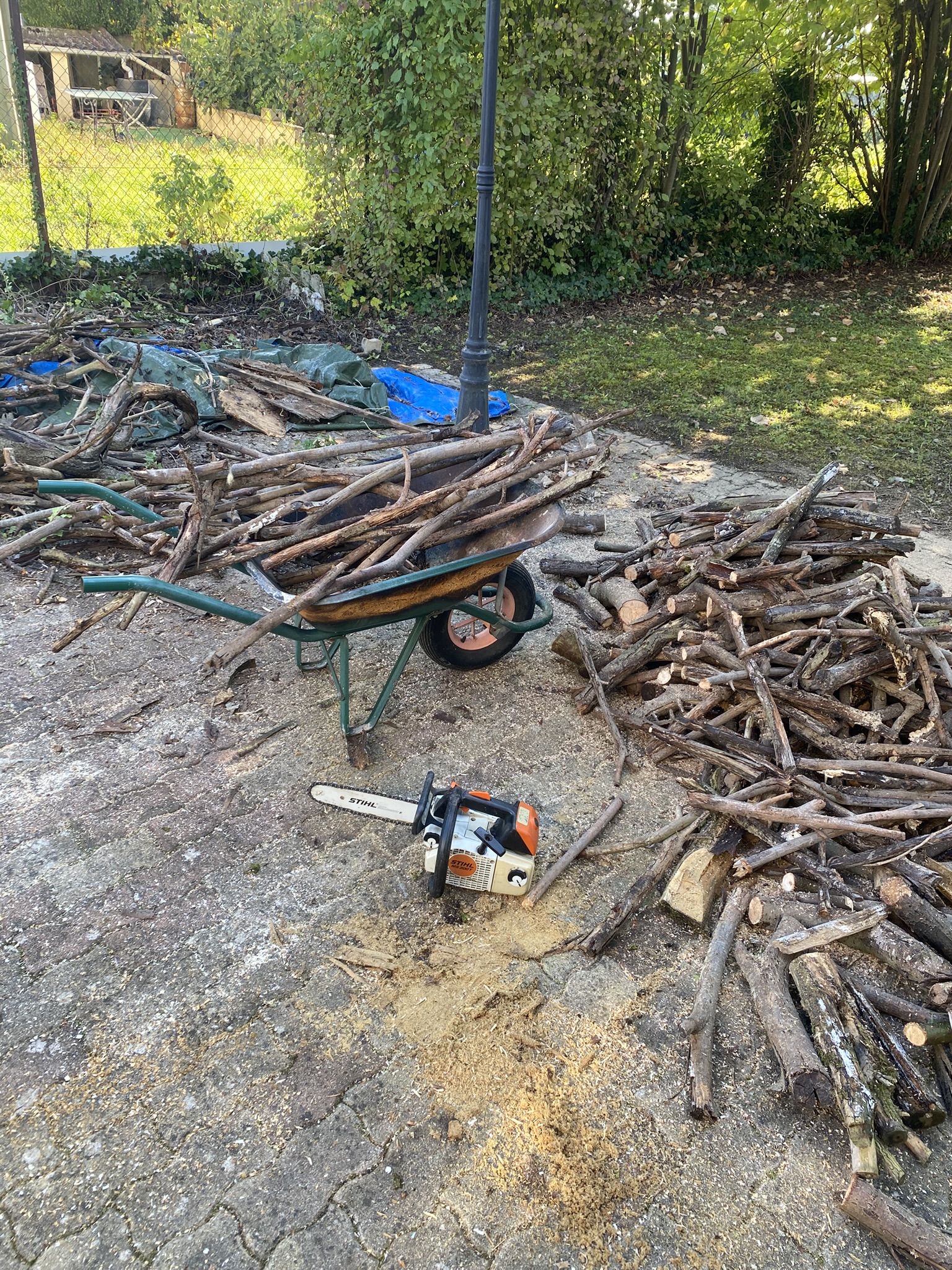 Bûches de bois découpées après abattage à Troyes