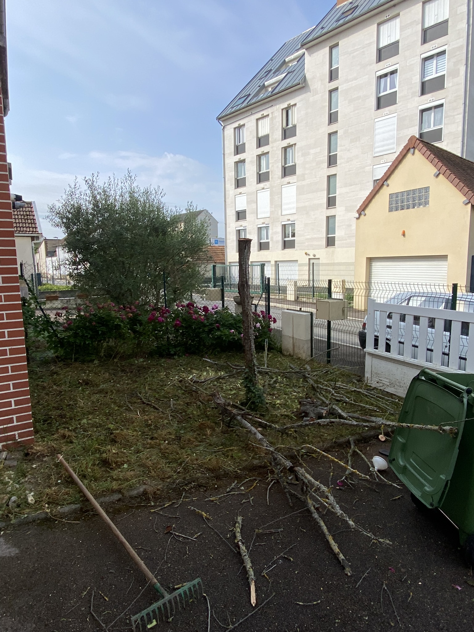 Coupe de bois de chauffage après élagage à Troyes