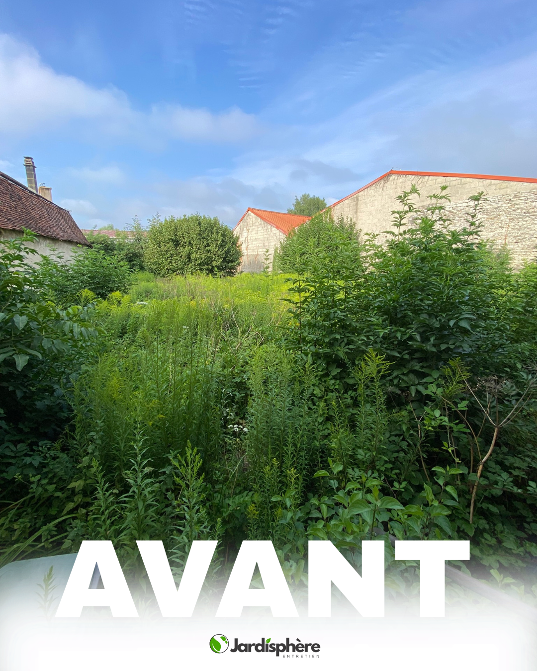 Terrain en friche avant débroussaillage à Troyes