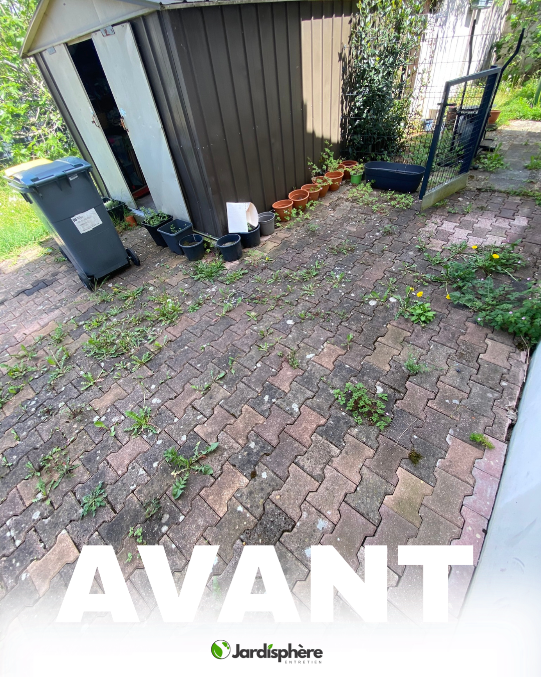 Pavés envahis par les mauvaises herbes avant désherbage à Troyes