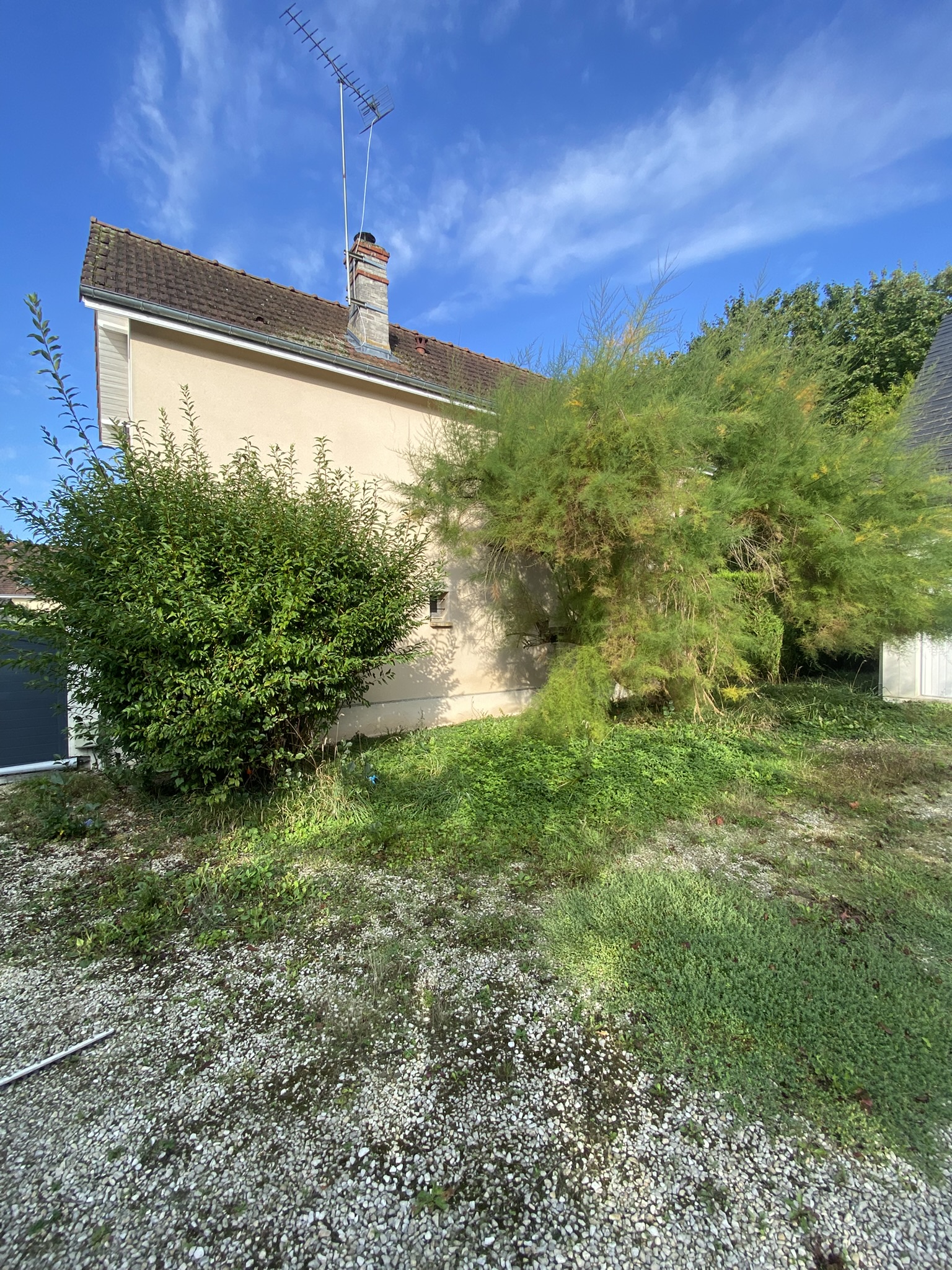 Jardin avant entretien à Troyes