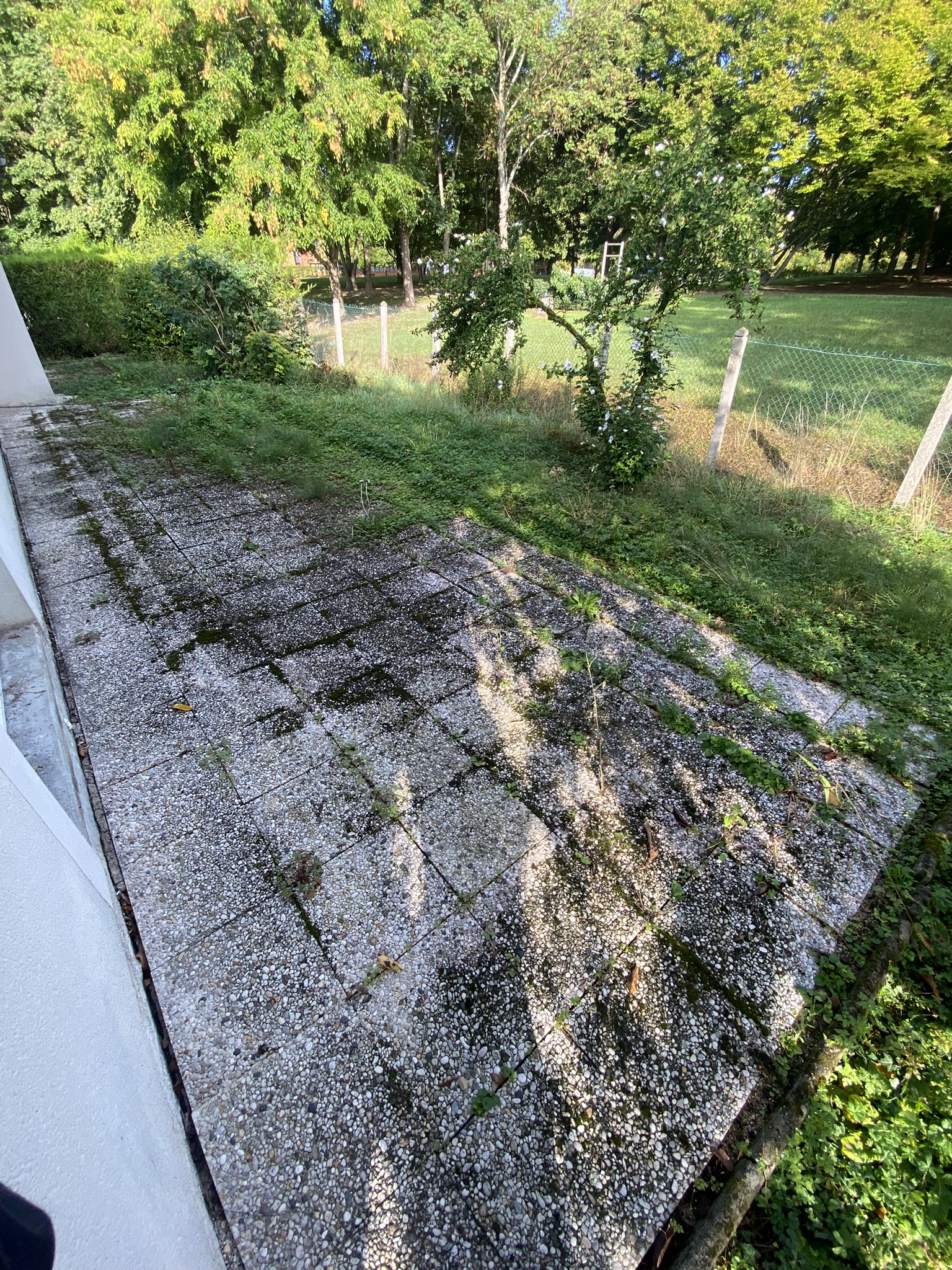 Jardin avant entretien à Troyes